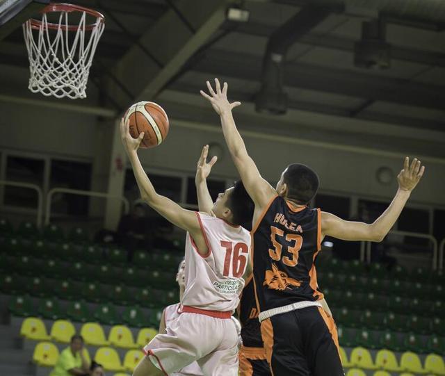  篮球青训体系完善，后备人才储备充足